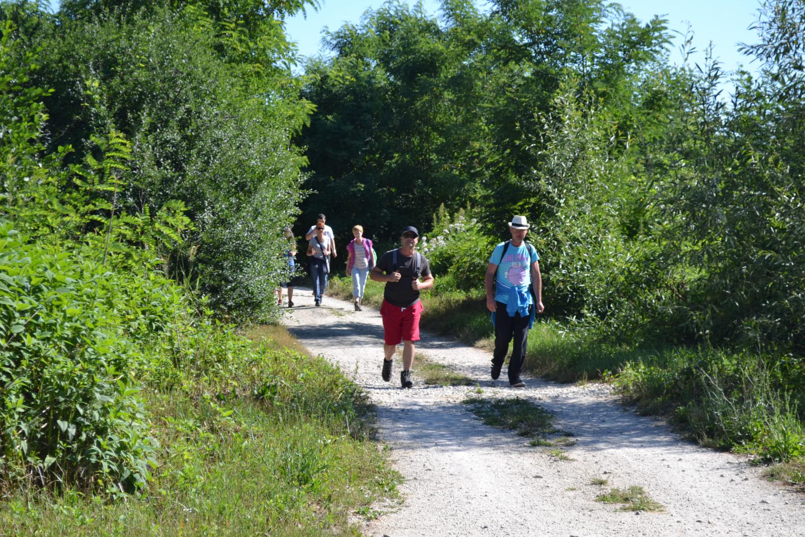 Fotogaléria Turovská turistická trasa 11.07.2015, Nagytúri turista ösvény 2015.07.11. (38) Turovská turistická trasa 11.07.2015, Nagytúri turista ösvény 2015.07.11.